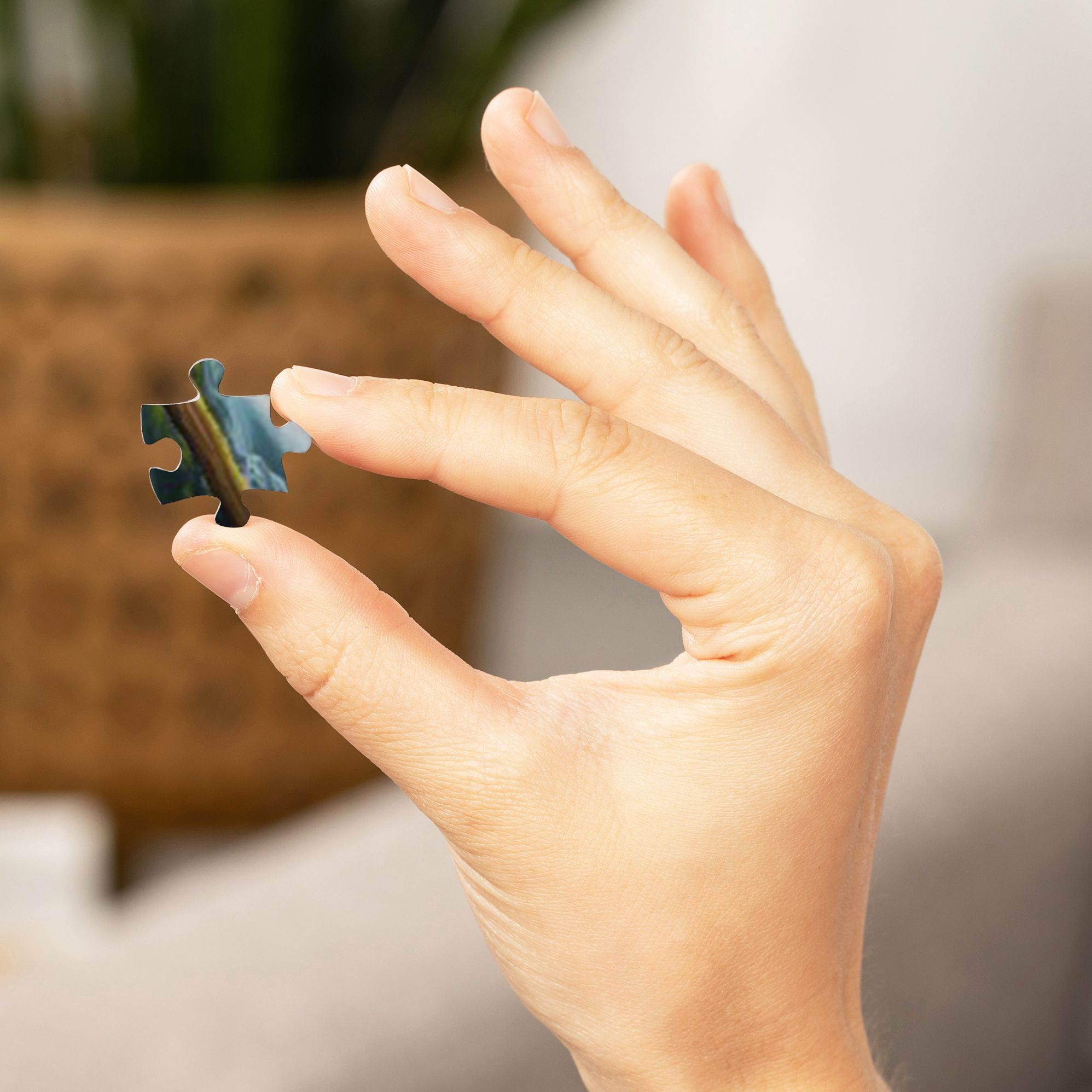 National Parks Oil Painting Collage 1000 Piece Puzzle