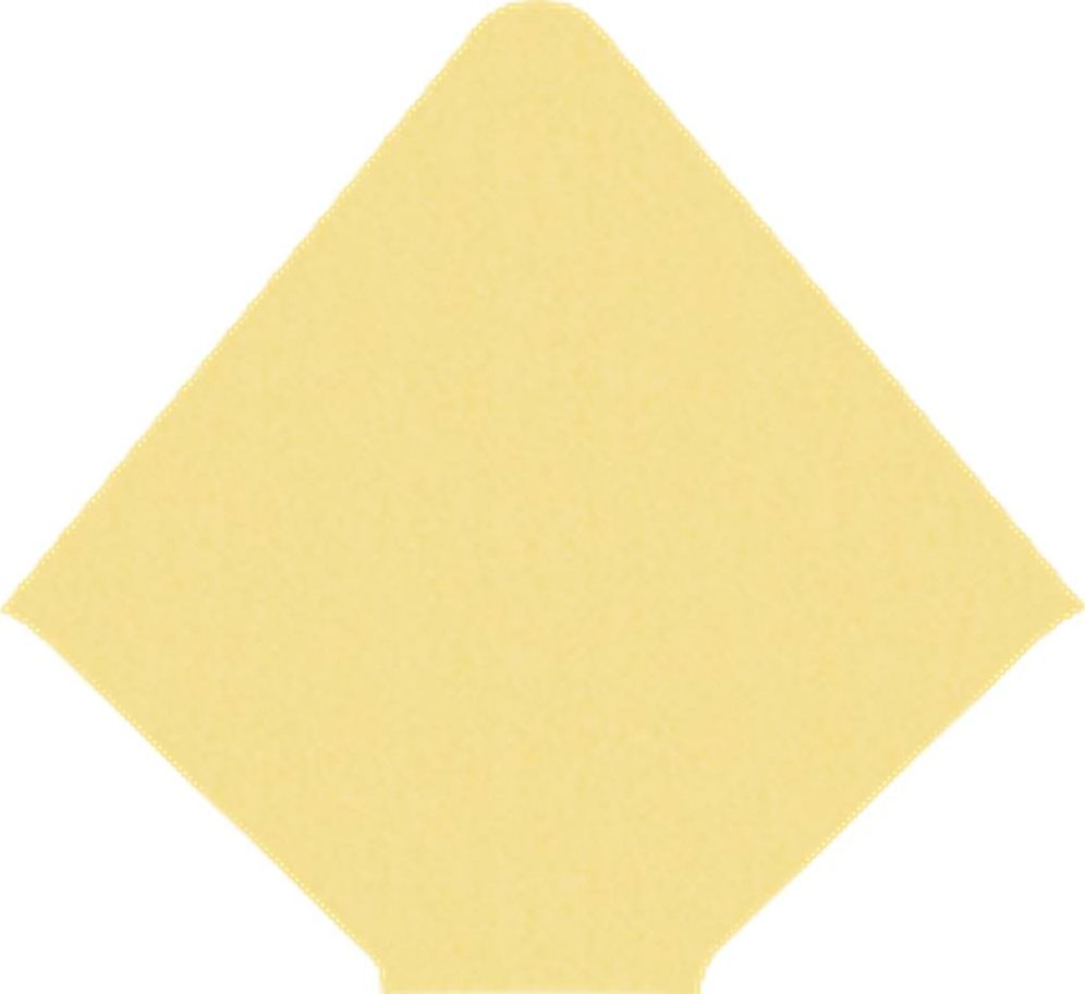 Shimmer Gold A9 Liners