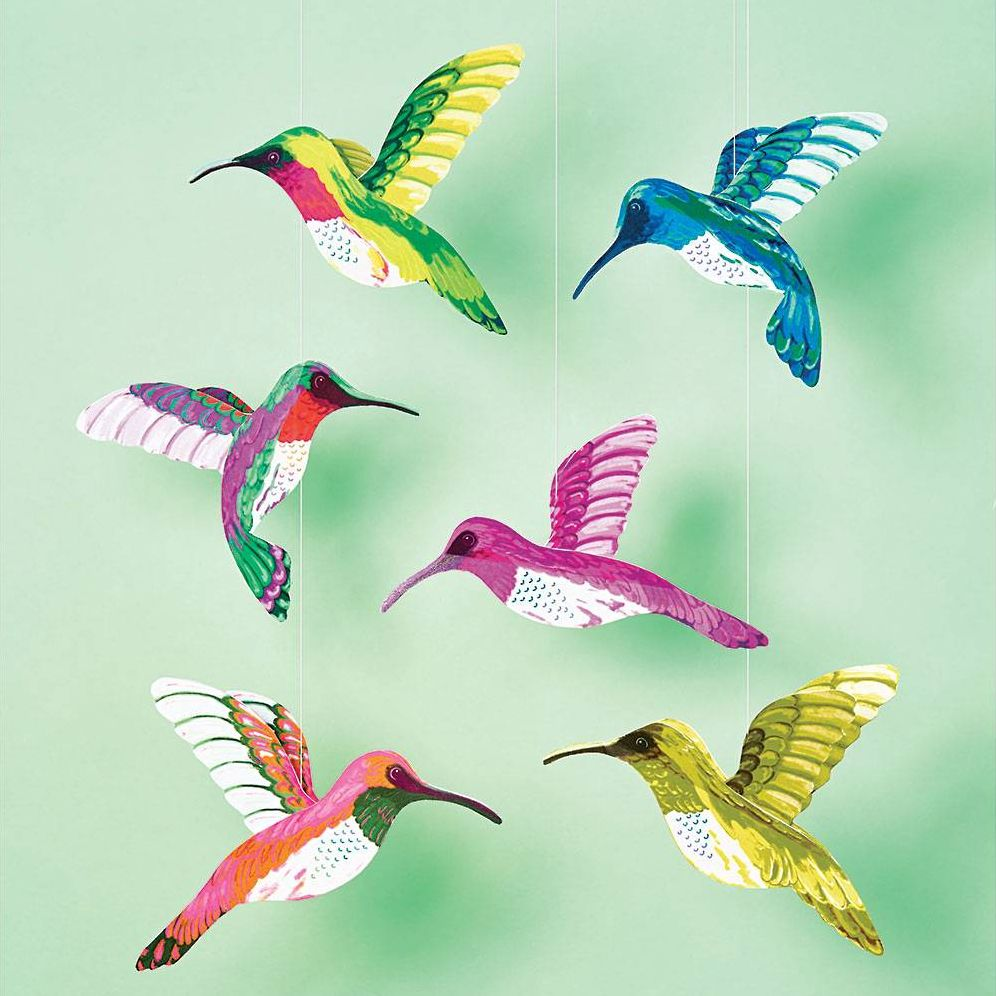Hummingbirds Craft Kit | Paper Source