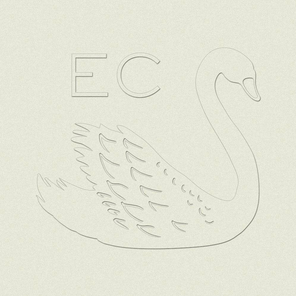 Swan Custom Embosser Plate with Embossing Tool