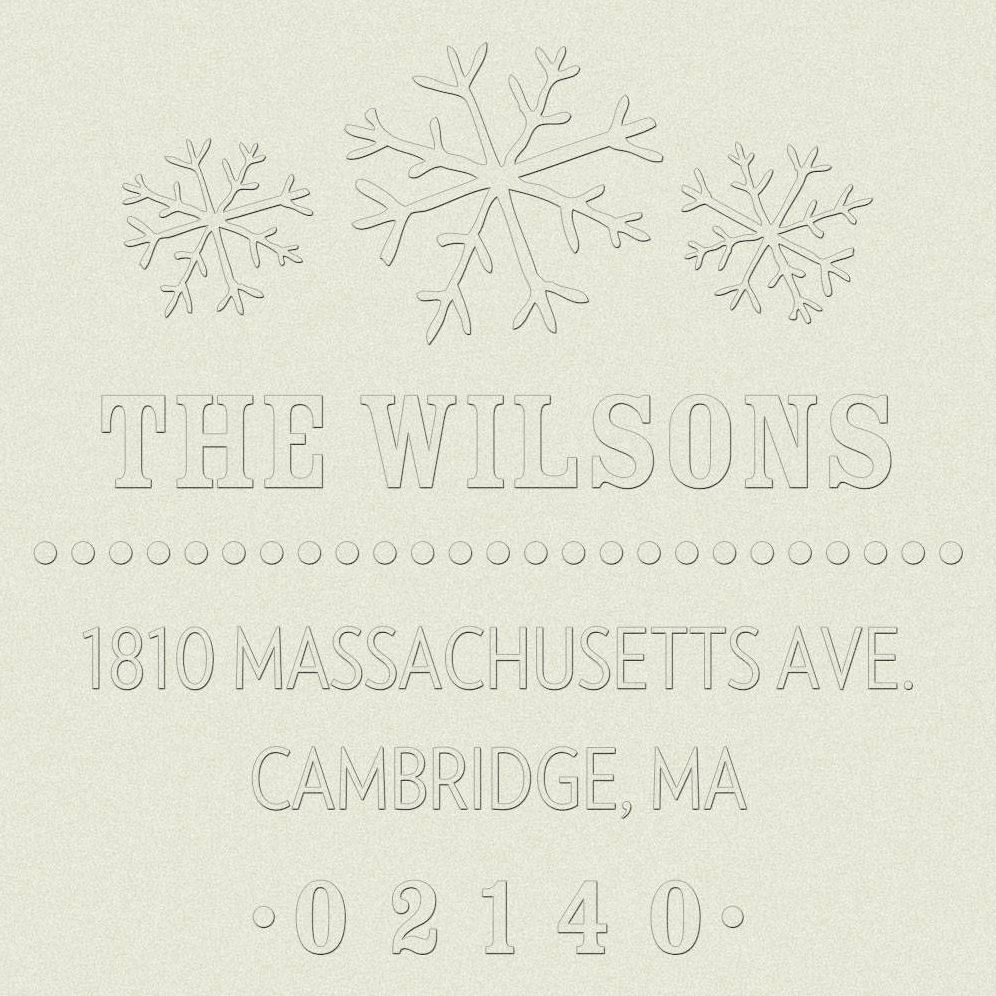 Snowflake Custom Embosser Plate