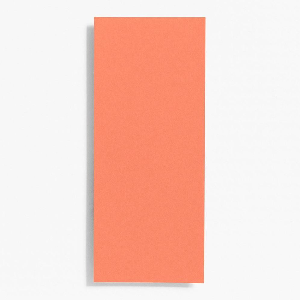 #10 Papaya Note Cards