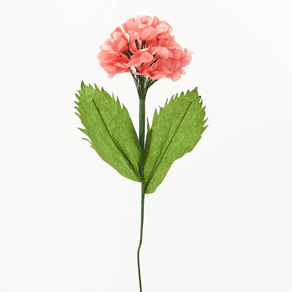 Hydrangea4937★★★　0308 h481929.001?$aempdlarge80$