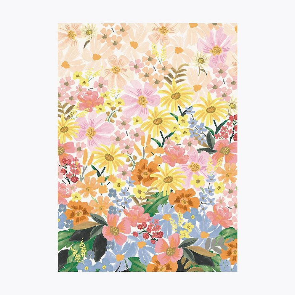 【色: Pastel Marguerite】【Rifle Paper Co.】 Amazon.com : RIFLE PAPER CO. Marguerite Assorted File Folder