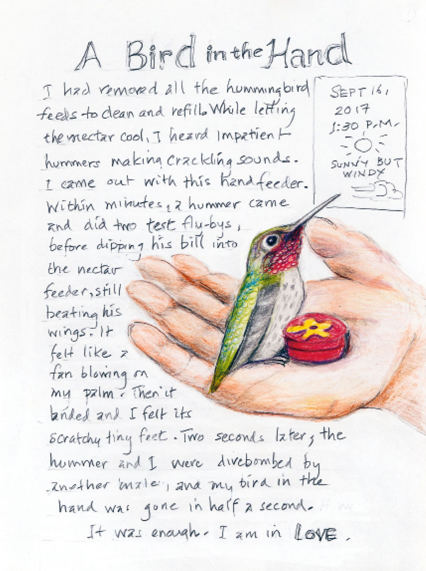 The Backyard Bird Chronicles (2024 B&N Gift Book of the Year)