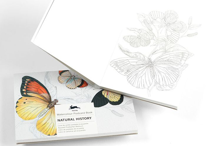 Natural History - Watercolour Postcard Book