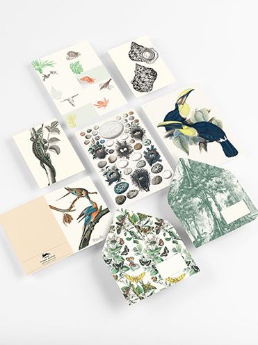Natural History - Correspondence Set