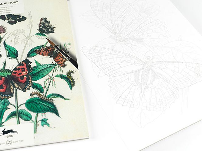 Natural History - Artists' Colouring Book