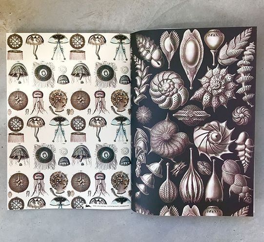 Marine - Gift & Creative Paper Book