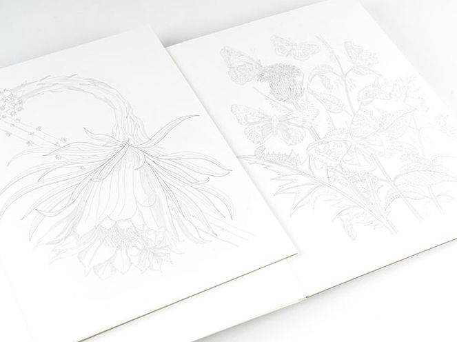 Natural History - Artists' Colouring Book