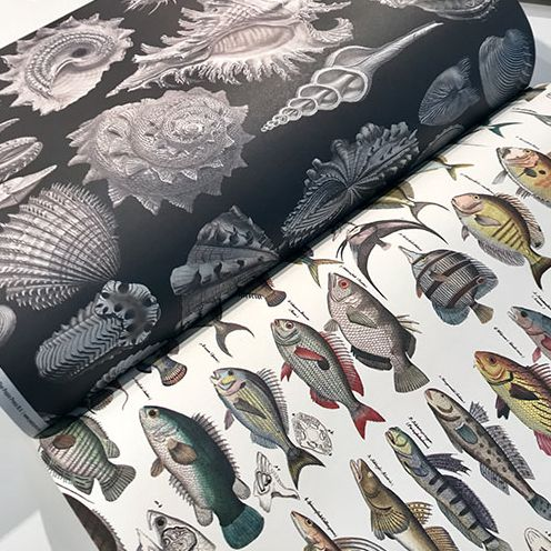 Marine - Gift & Creative Paper Book