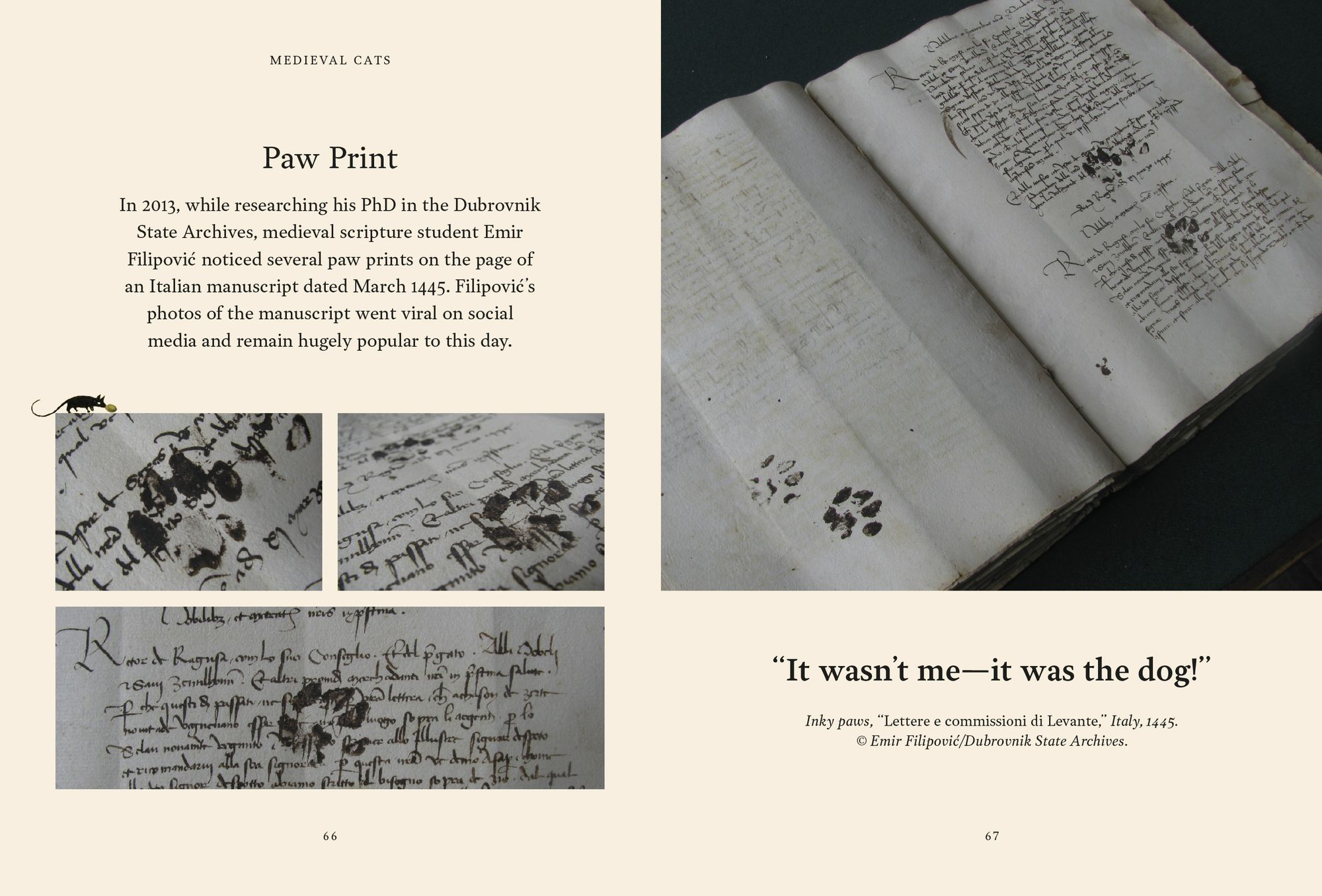 Medieval Cats: Claws, Paws, and Kitties of Yore