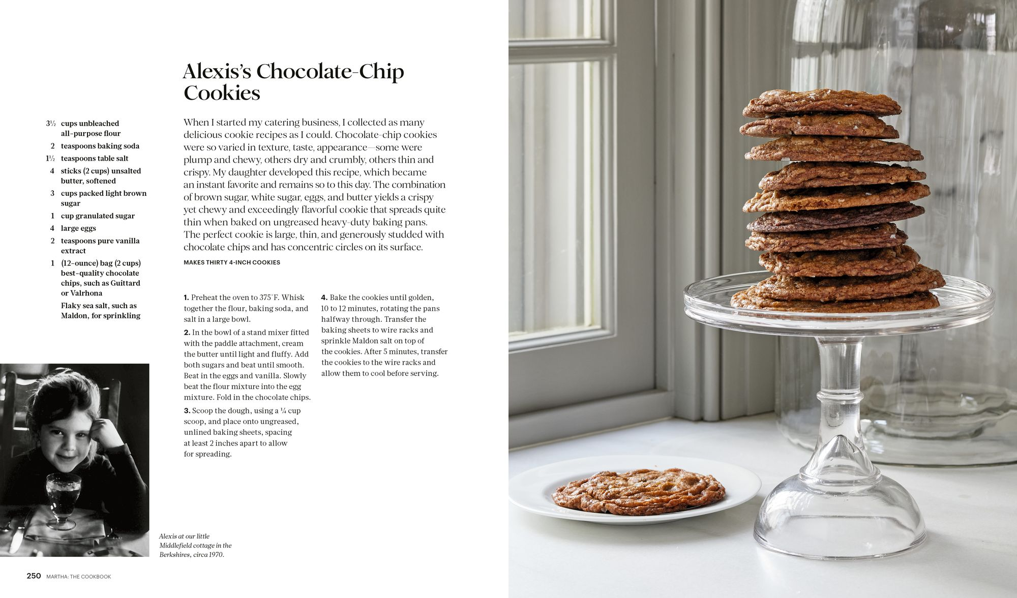 Martha: The Cookbook: 100 Favorite Recipes, with Lessons and Stories from My Kitchen