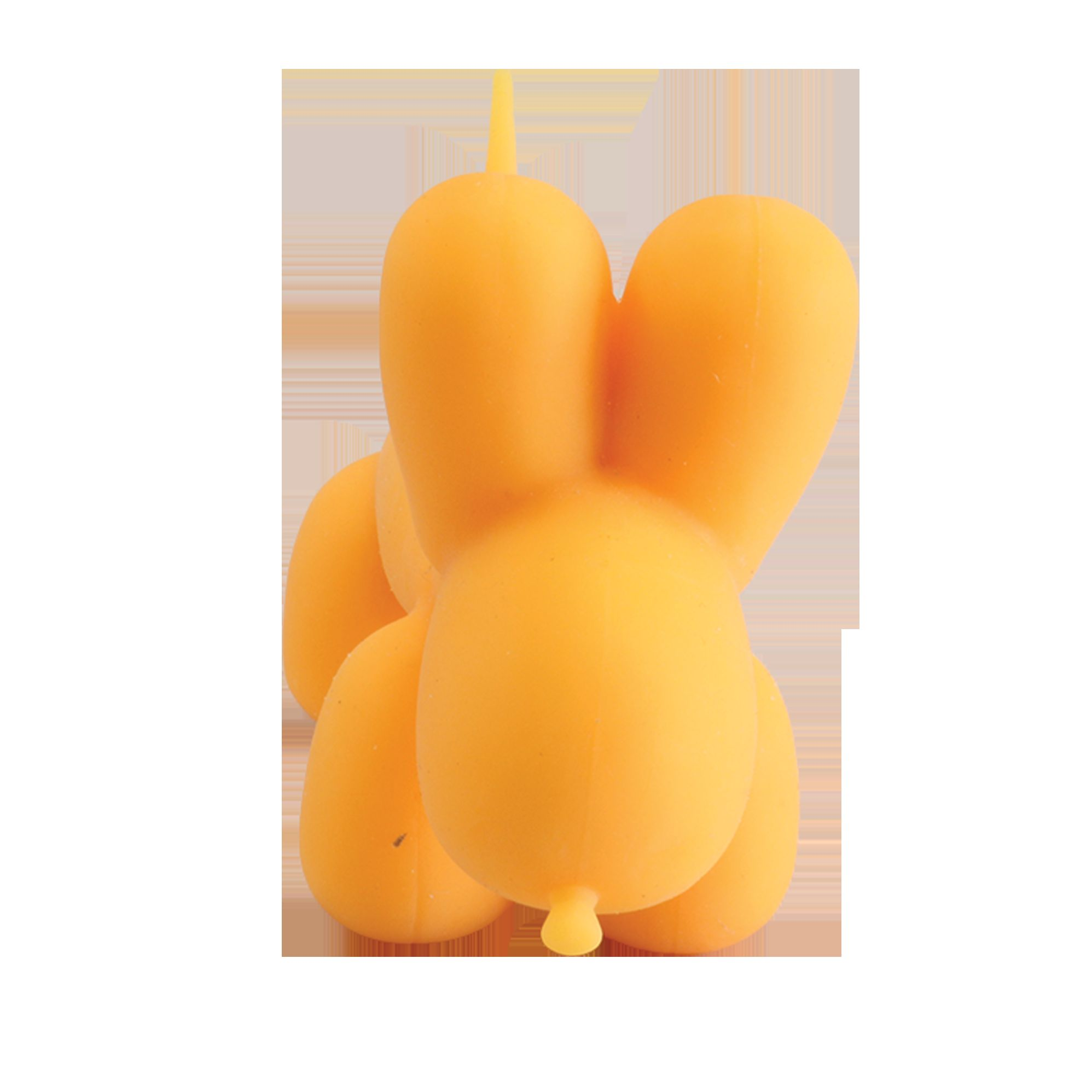 Stretchi Balloon Dog