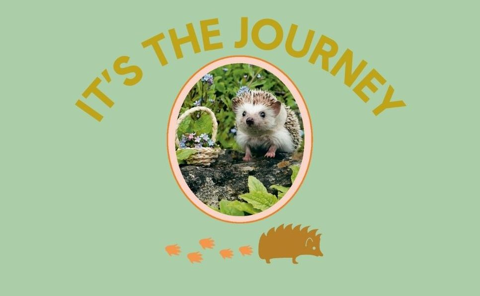 Every Little Thing Quill Be All Right: Hedgehugs and Happiness for When Life Feels Prickly: Positive Affirmations