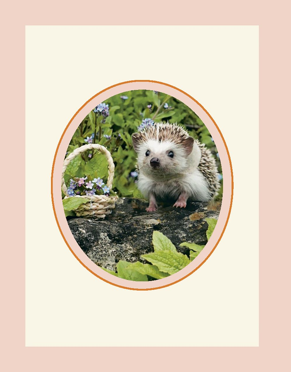 Every Little Thing Quill Be All Right: Hedgehugs and Happiness for When Life Feels Prickly: Positive Affirmations
