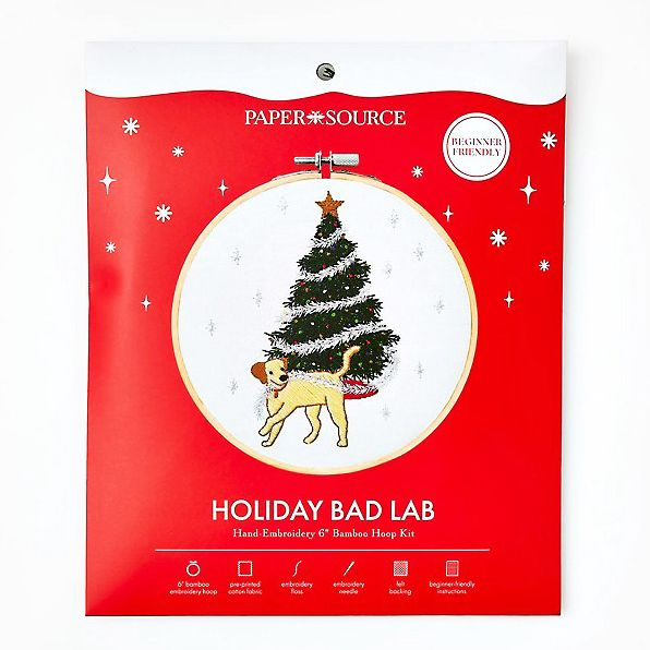 Bad Dog Embroidery Kit