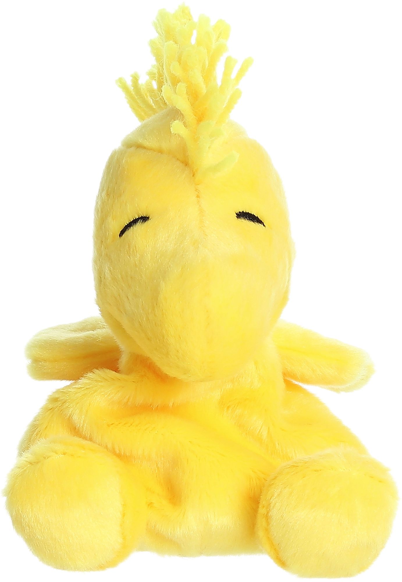 Woodstock 5" Palm Pals