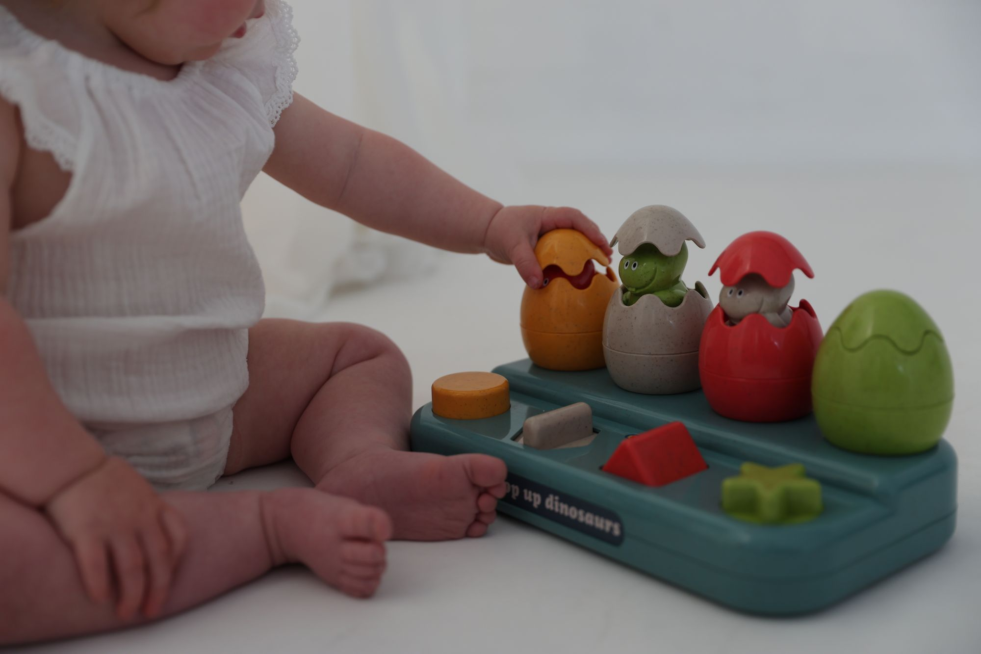 Pop Up Dinosaur Activity Toy