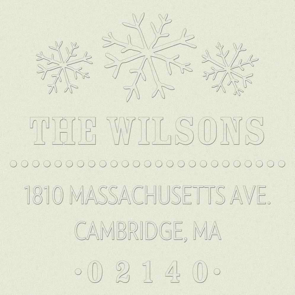 Snowflake Custom Embosser Plate with Embossing Tool