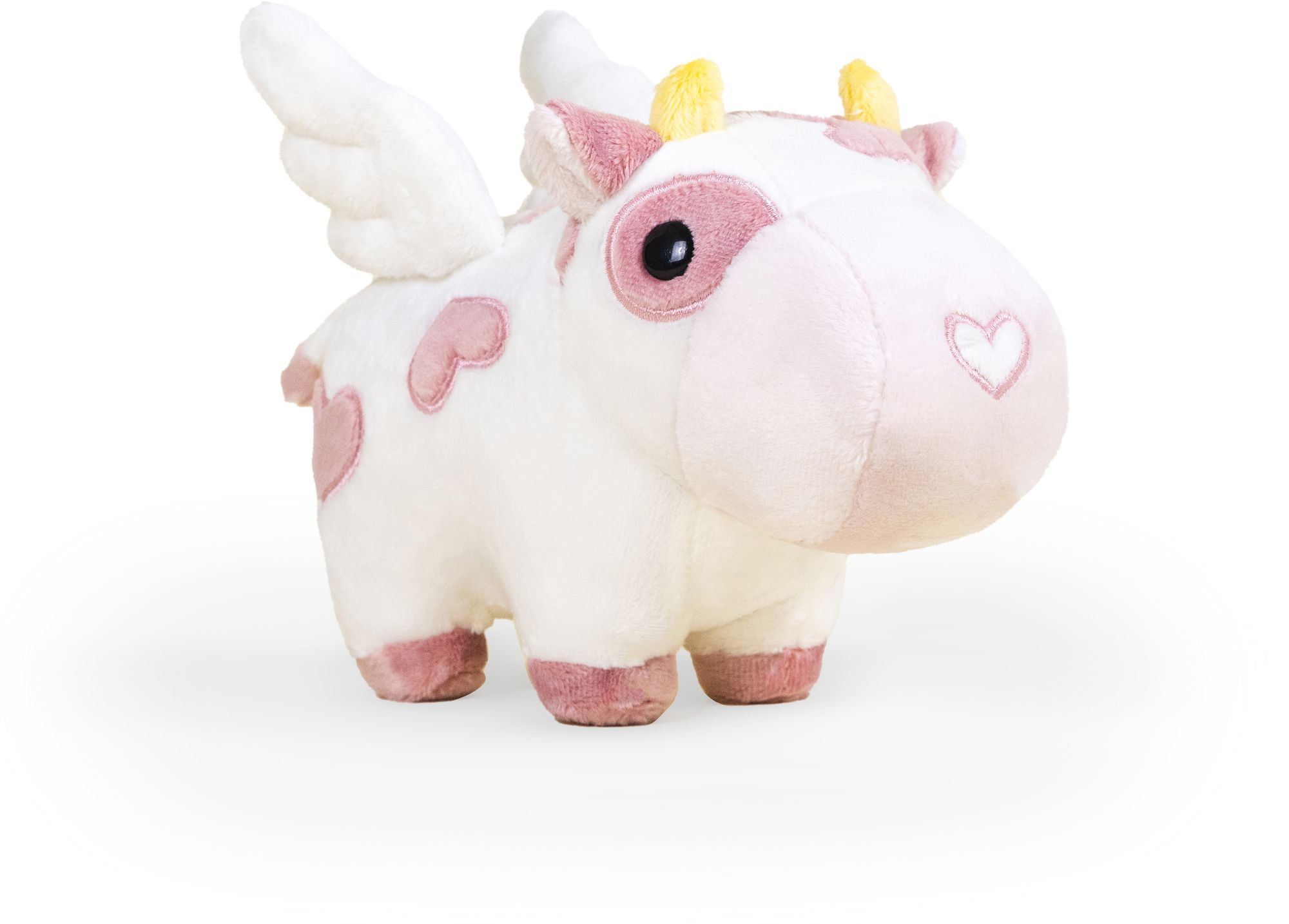 Mini Valentine's Mooi