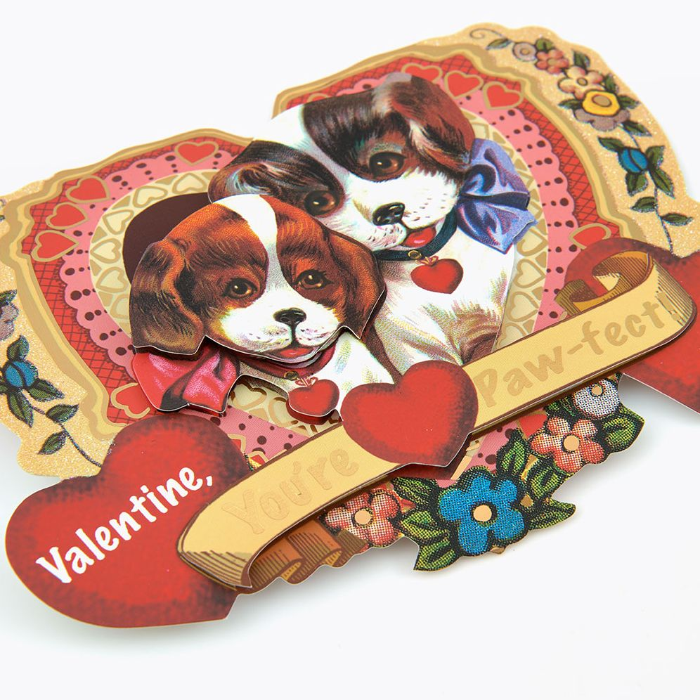 Puppy Dog Valentine's Set of 8