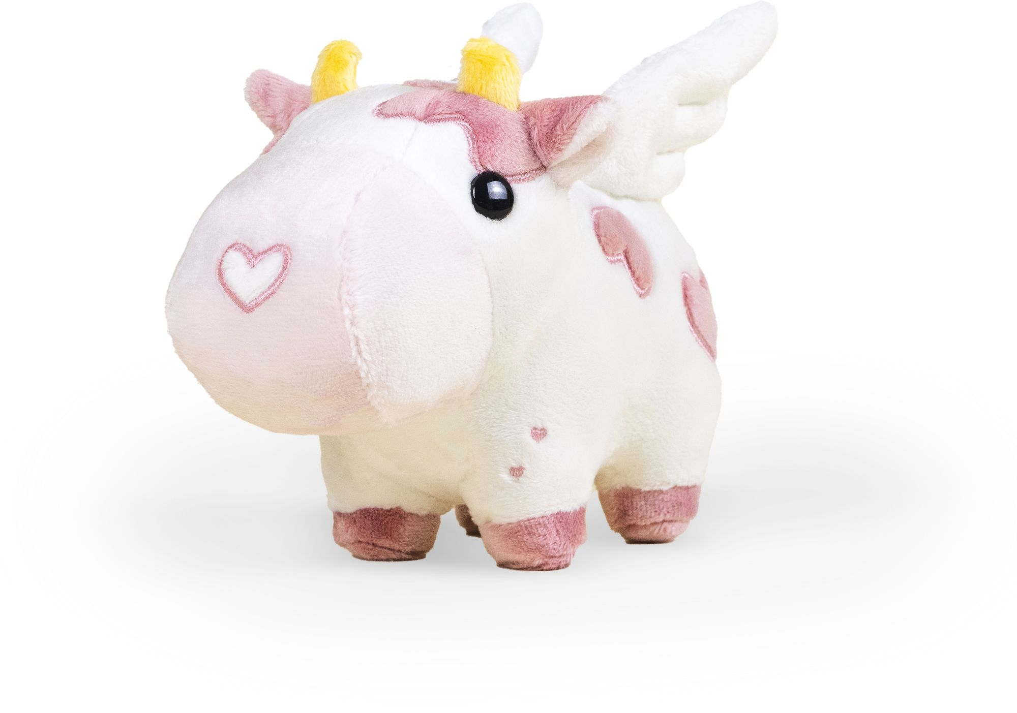 Mini Valentine's Mooi