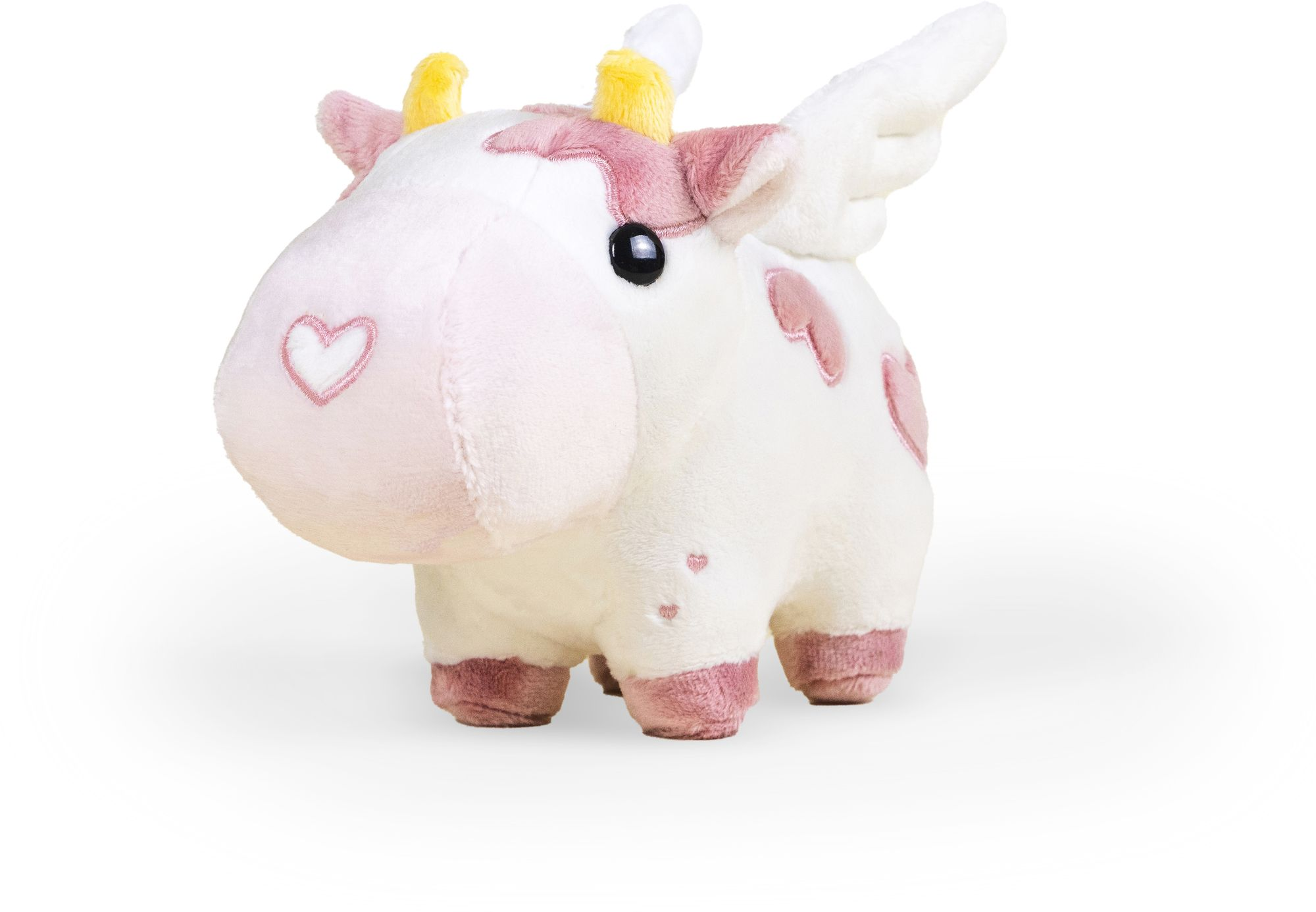 Mini Valentine's Mooi