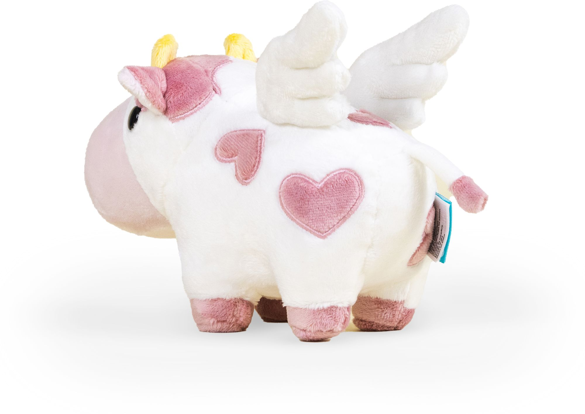 Mini Valentine's Mooi