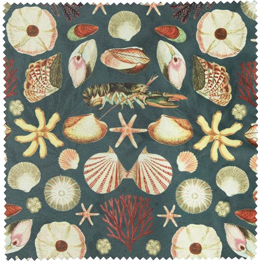 Archive Oceans Shell Glasses Case