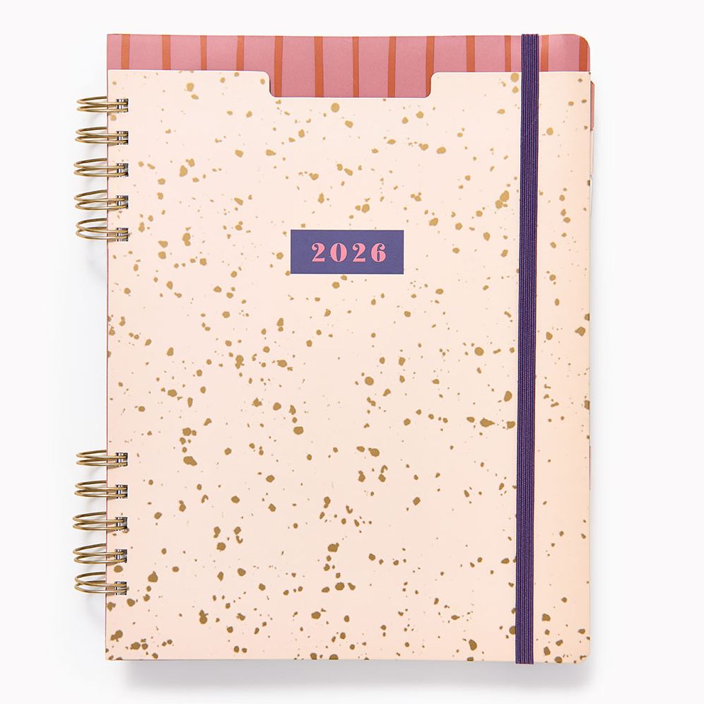 2025-2026 Paper Source Speckle Stripe Weekly Desk Planner