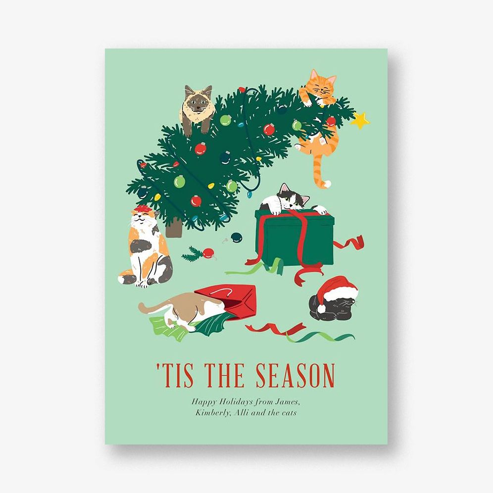 Cats in Trouble Holiday Card Paper Source