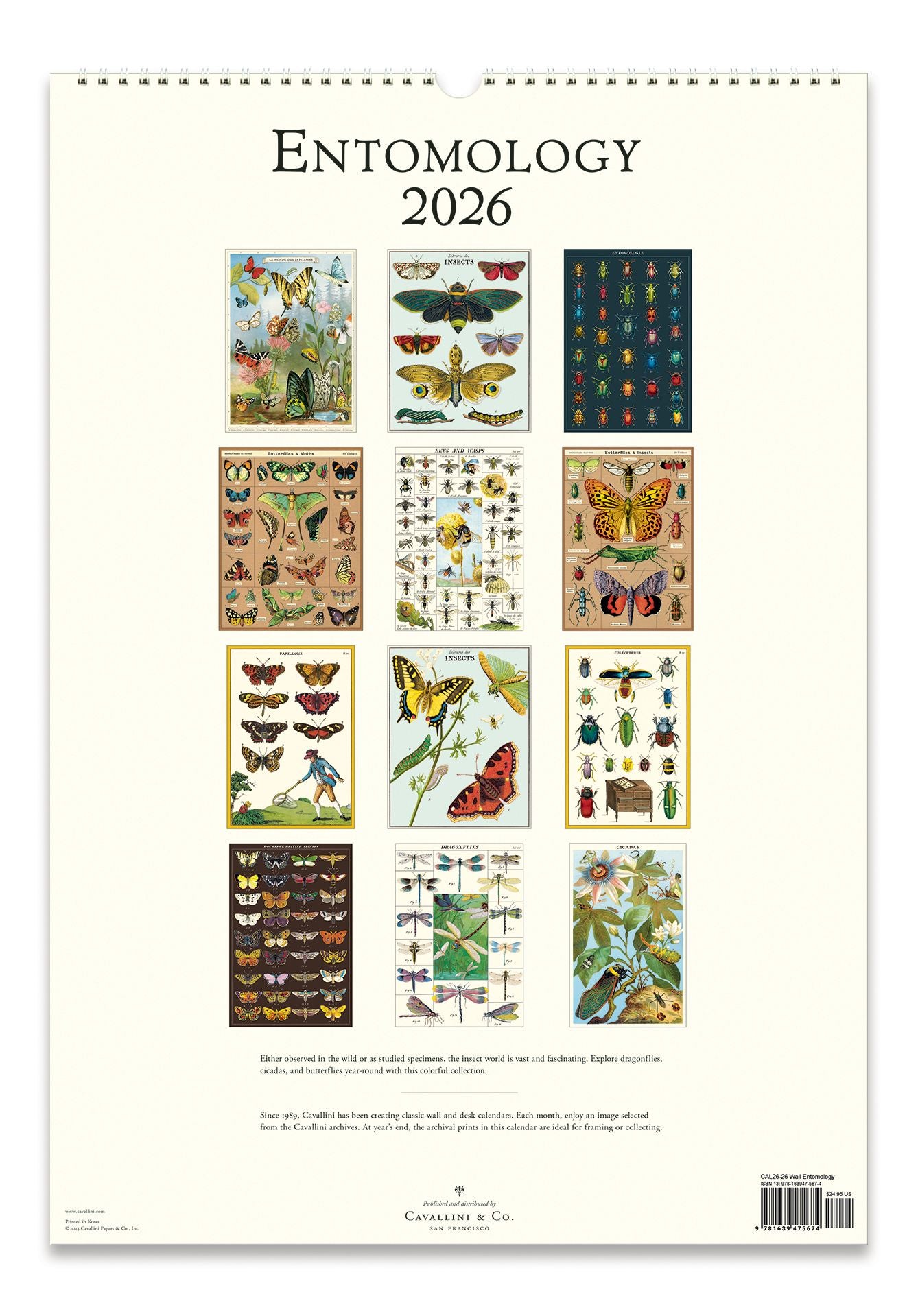 2026 Entomology Wall Calendar