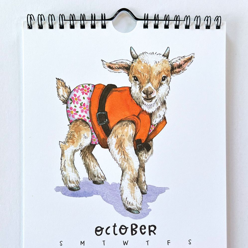 2026 Swimsuit Calendar by Paper Wilderness