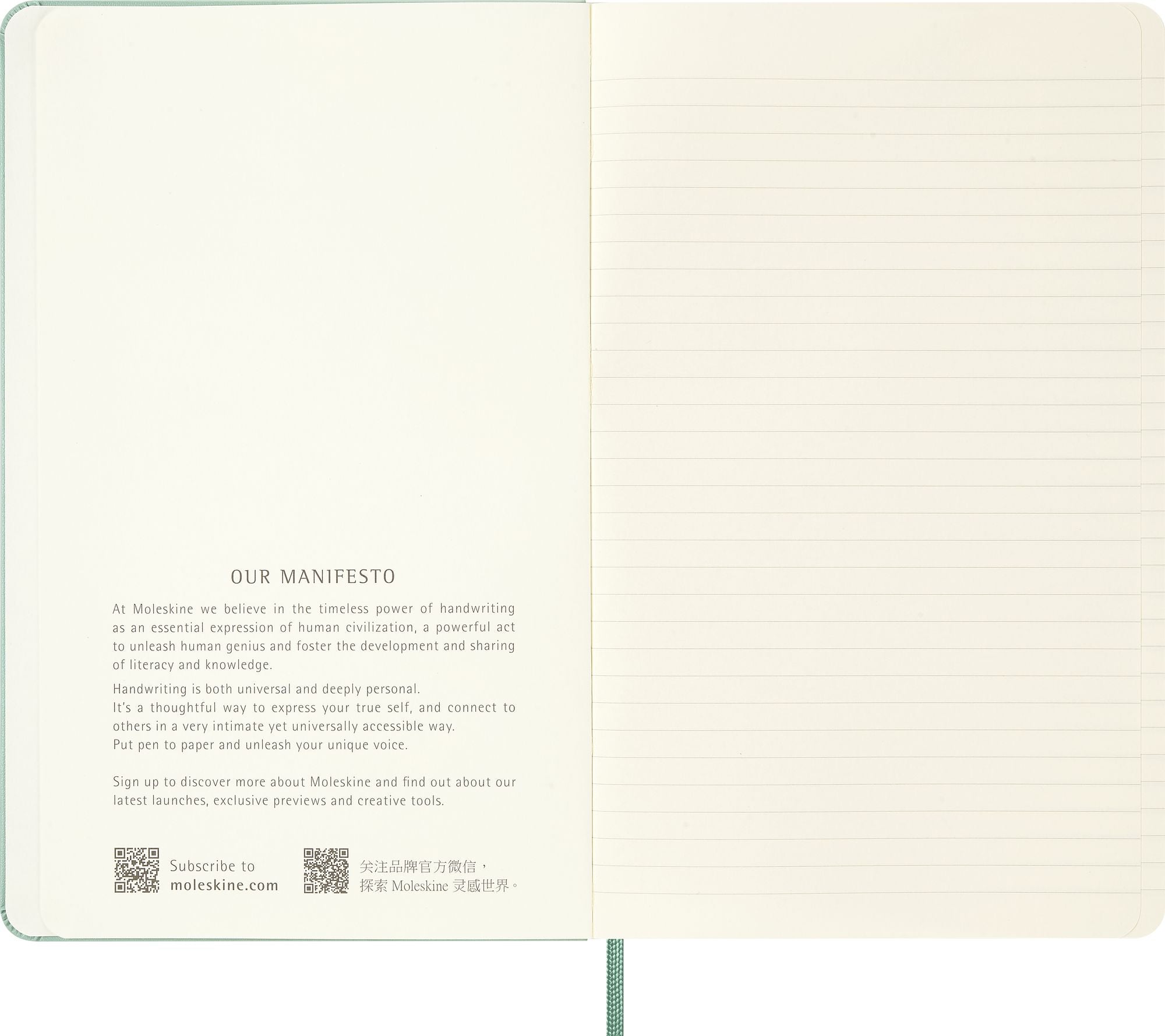 Moleskine Colored Patterned Notebook, Hard Cover, Large (5" x 8.25") Ruled/Lined, Sage Green, 240 Pages
