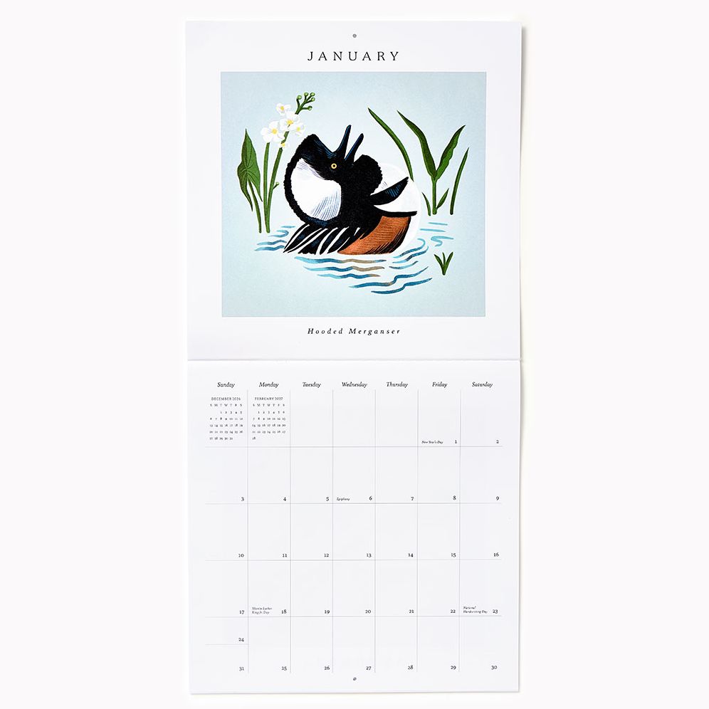 2027 Paper Source Birds Calendar