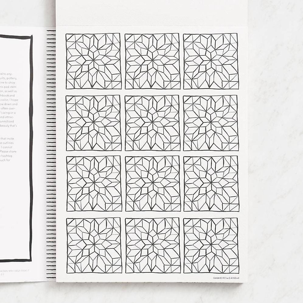 Splash of Color Painting & Coloring Book