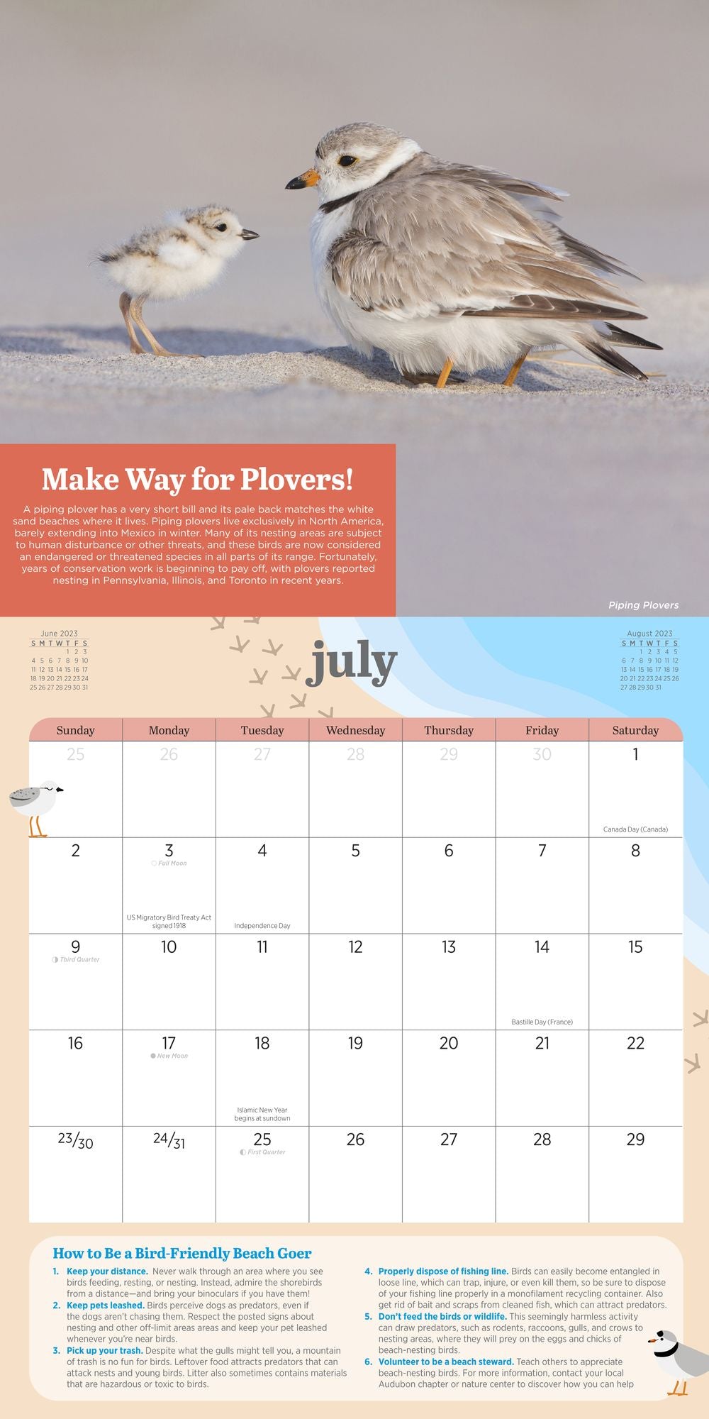 2023 Kids' Birding Activity Wall Calendar