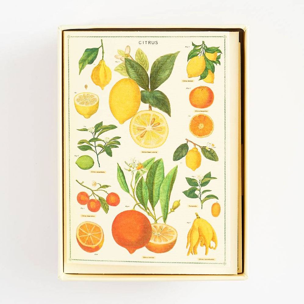 Jardin Stationery Set