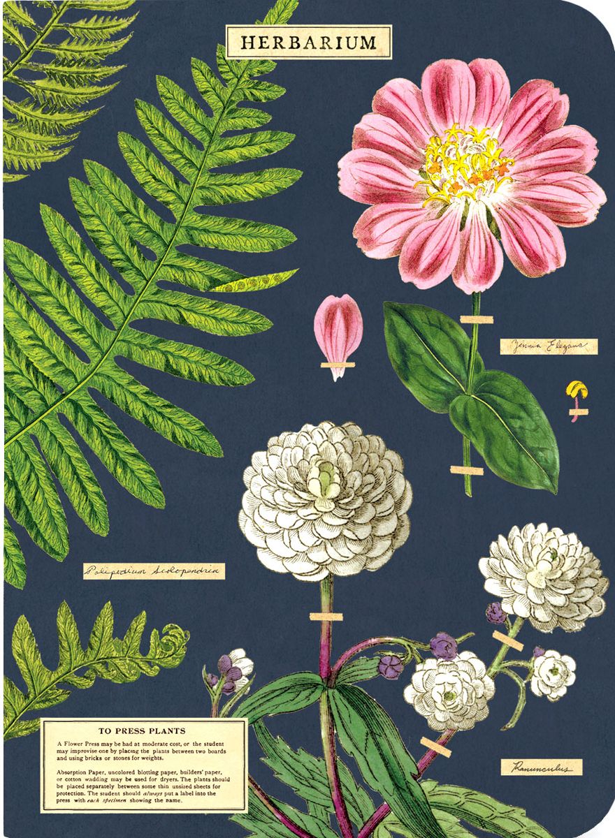 Herbarium Mini Journals