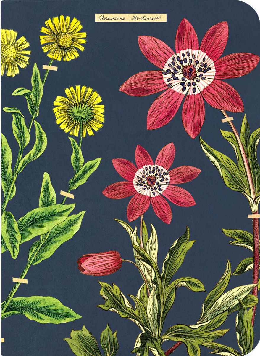 Herbarium Mini Journals