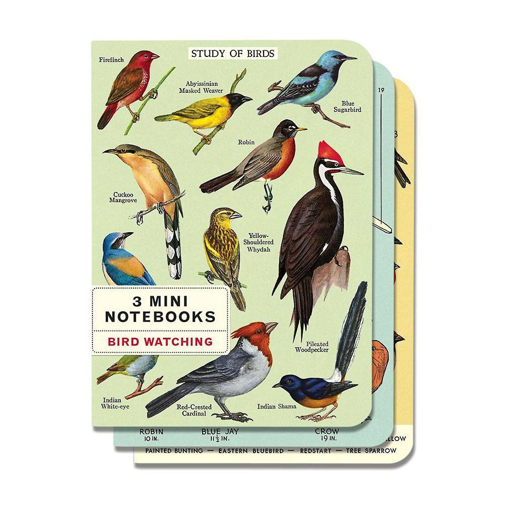 Cavallini & Co. Bird Watching Mini Notebooks | Paper Source