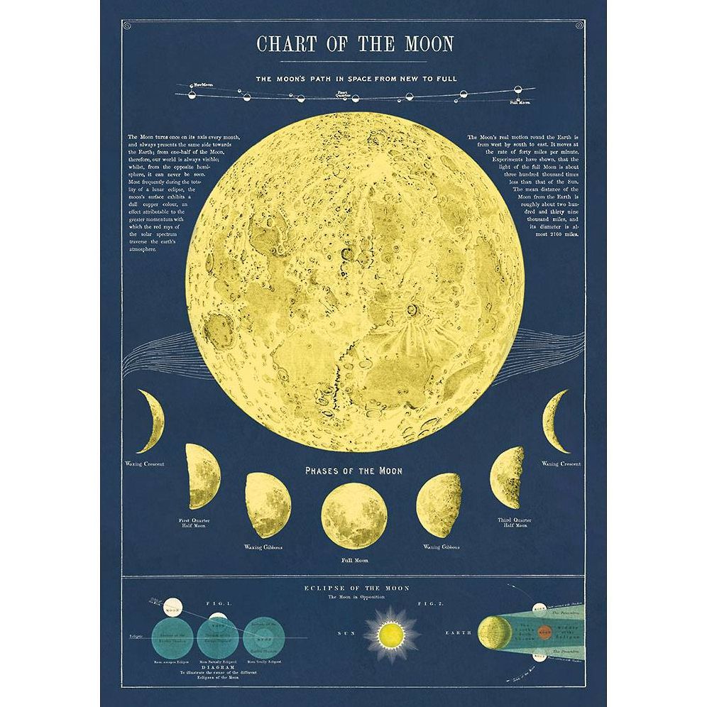 Moon Chart Flat Wrap & Poster | Paper Source