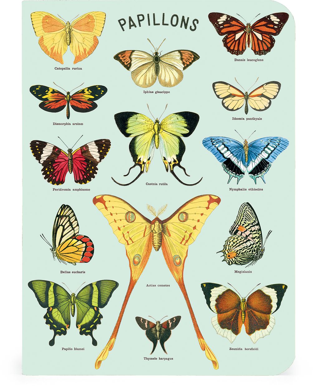 Butterflies Mini Notebooks - Set of 3