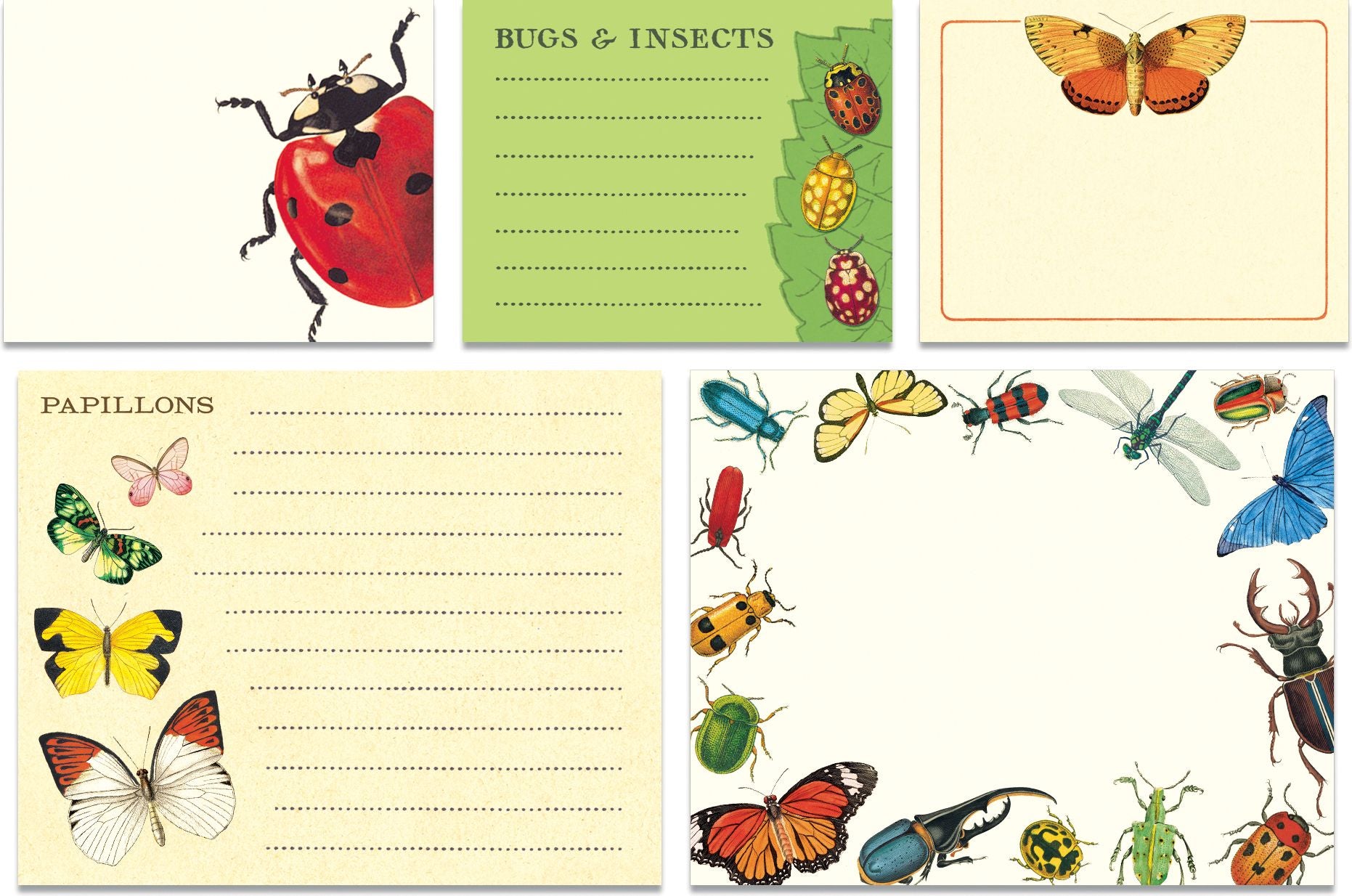 Bugs & Insects Sticky Notes