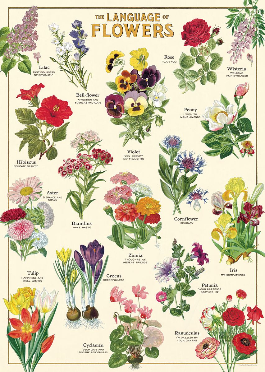 Language of Flowers Wrap | Paper Source