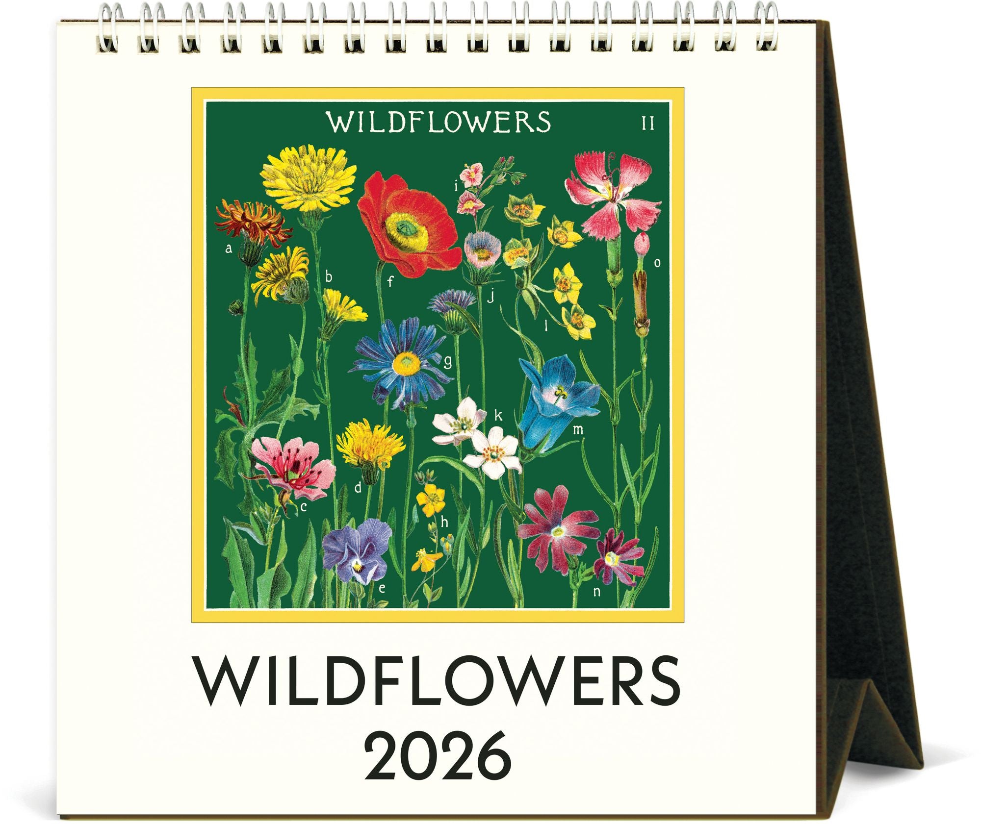 2026 Cavallini Wildflowers Desk Calendar | Paper Source