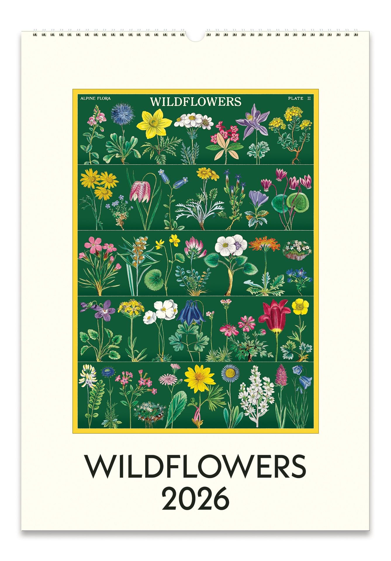 2026 Cavallini Wildflowers Wall Calendar | Paper Source