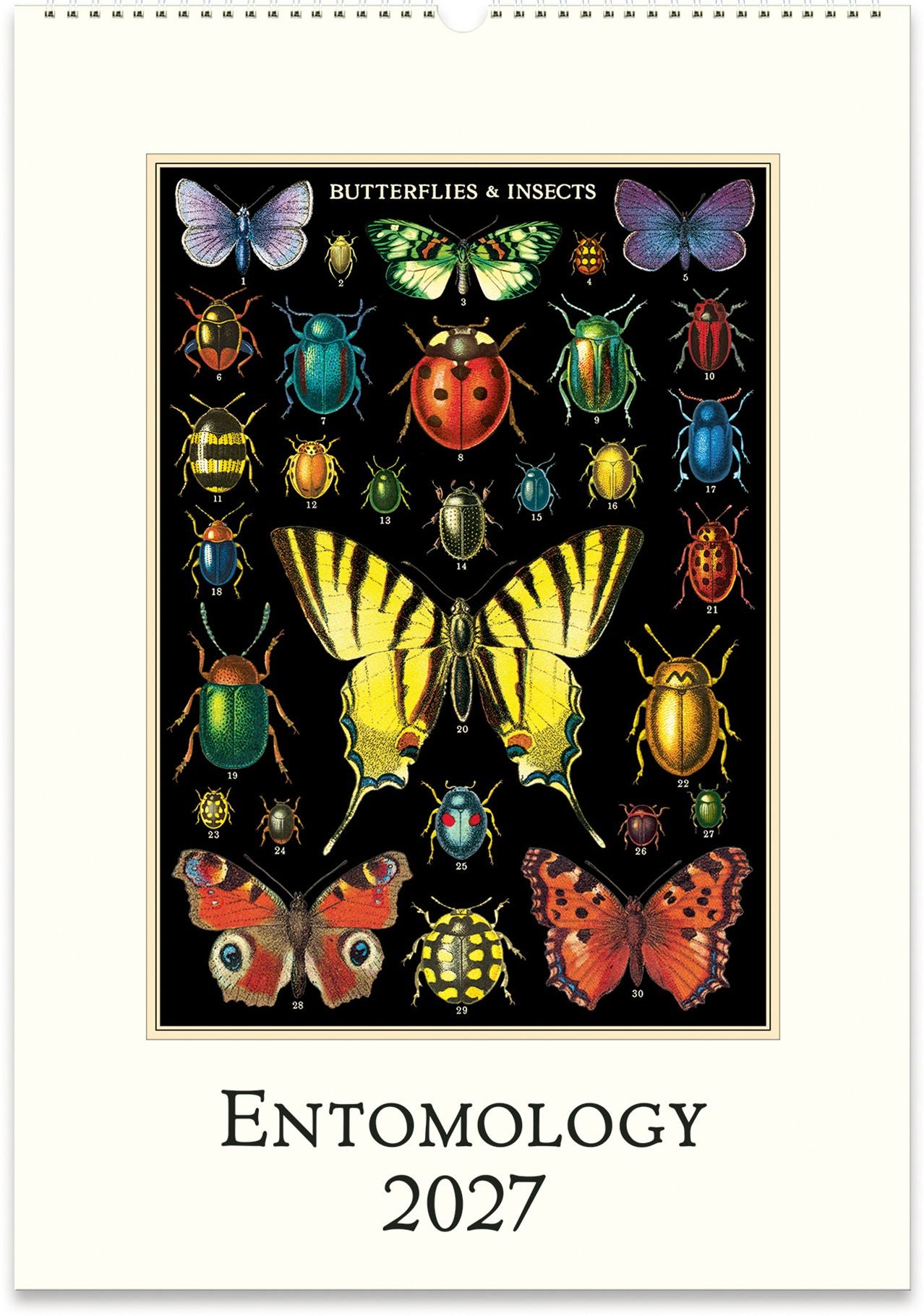 2027 Entomology Wall Calendar