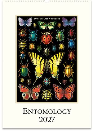 2027 Entomology Wall Calendar